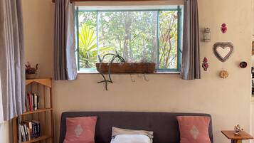 Una televisión, libros