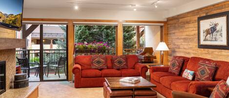 Télévision, cheminée, lecteur de DVD, livres