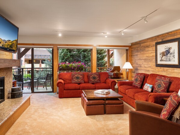 TV, fireplace, DVD player, books