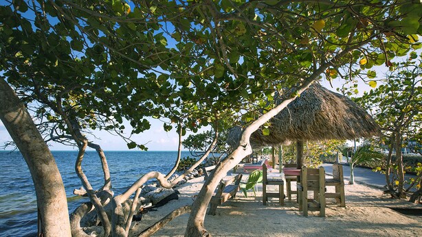 A beach scene with a thatched-roof hut, wooden chairs, and a tree-lined view of the sea. - Beautiful Updated Kawama Townhouse.  Marina, boat ramp, lagoon and pools. (Key Largo)