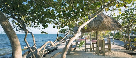 A beach scene with a thatched-roof hut, wooden chairs, and a tree-lined view of the sea.