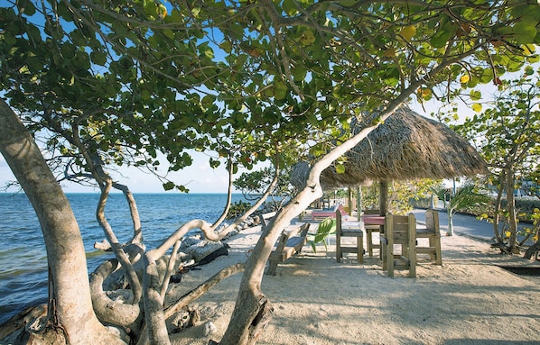 Une scène de plage avec une cabane au toit de chaume, des chaises en bois et une vue sur la mer bordée d’arbres.