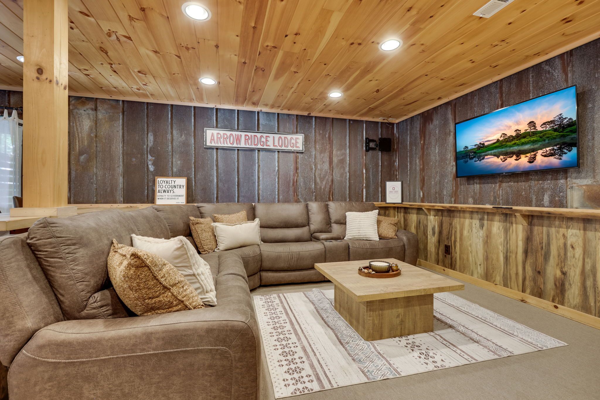 Lower level living area