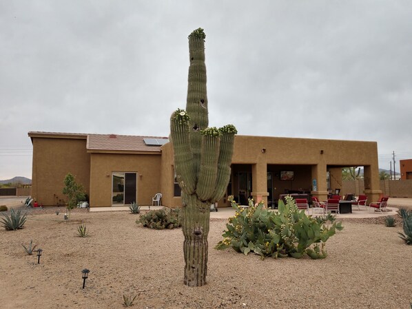 Exterior - Private Room in Beautiful Desert Hills Az (Phoenix)