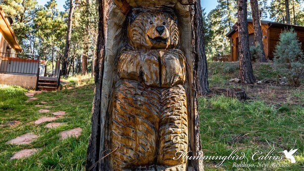 Une cabane rustique, ornée d’une sculpture d’ours taillée dans le tronc d’un arbre, et entourée d’une zone boisée.