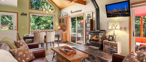 TV connectée, cheminée, lecteur de DVD, livres