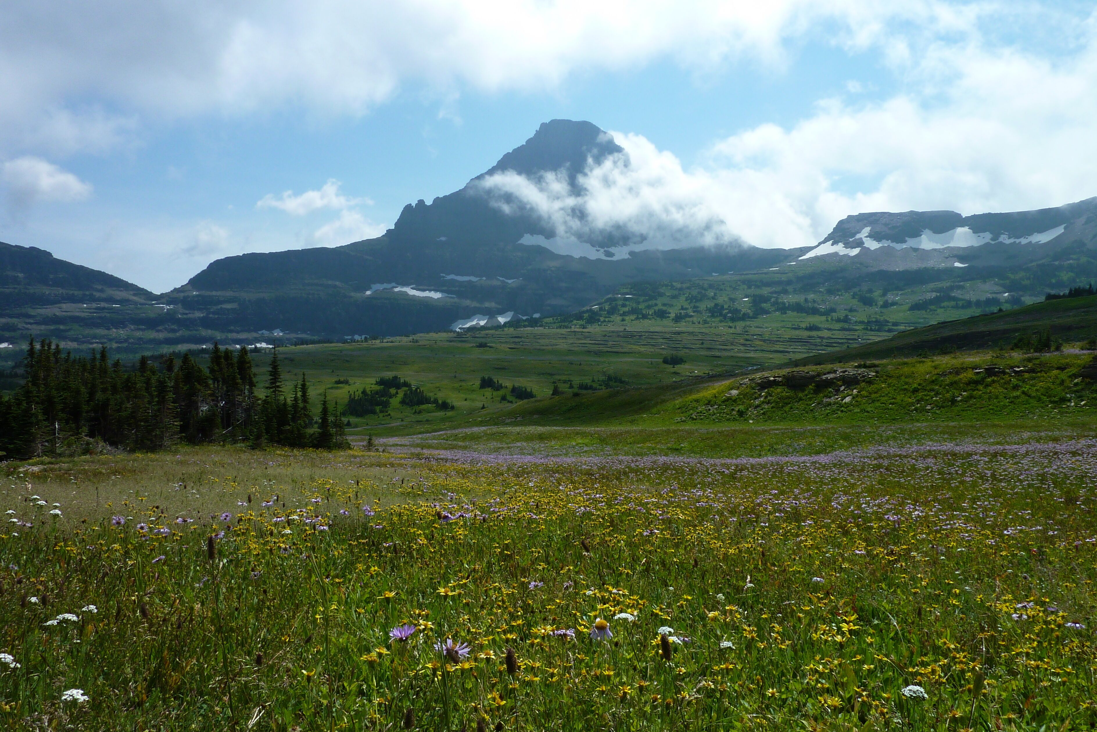 A mountainous landscape with a prominent peak, a meadow with wildflowers, and a valley with scattered trees.