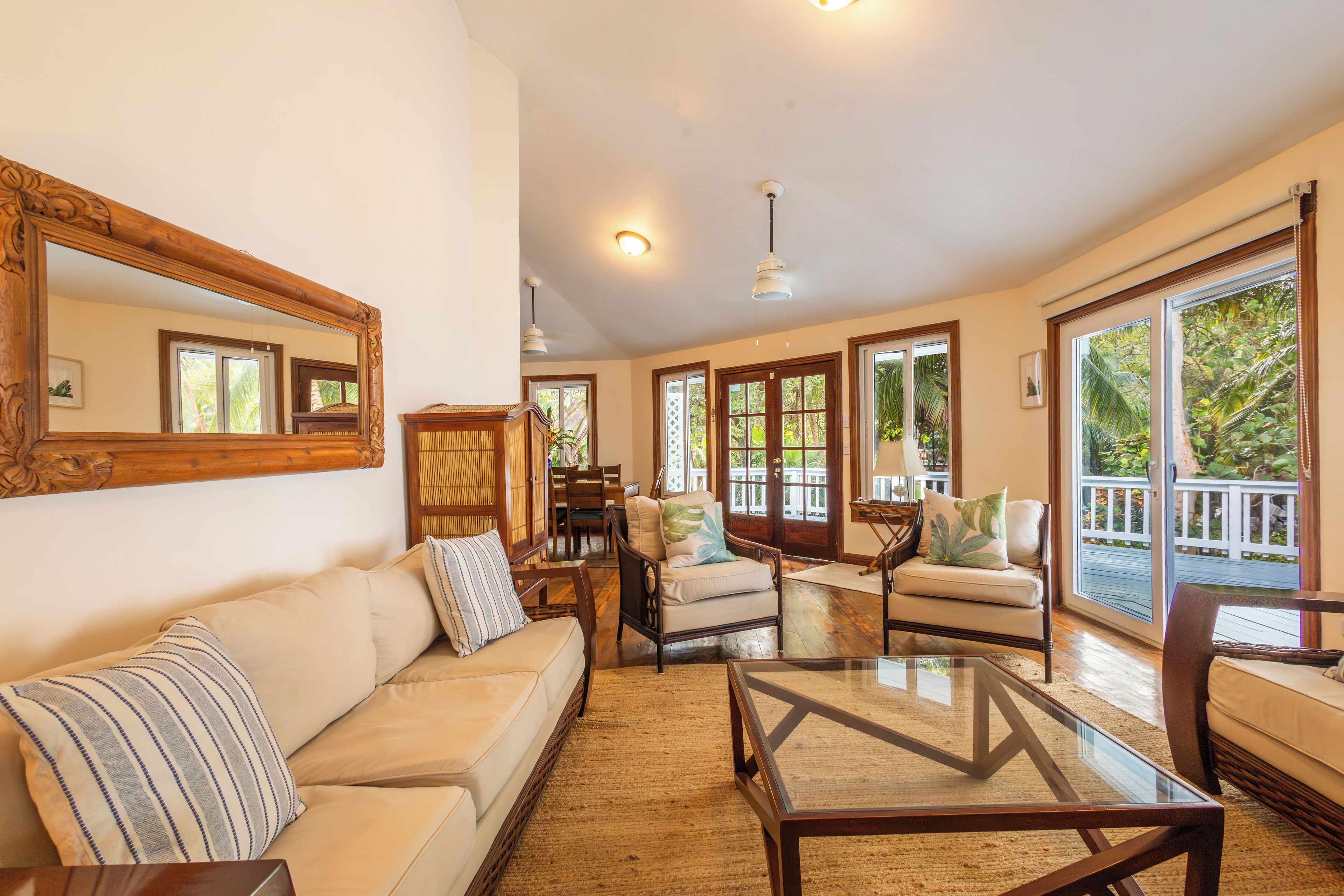 Smart TV, video games, books, video library