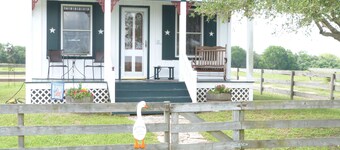 Gander's Down 1 Bedroom Ranch Amazing Cottage