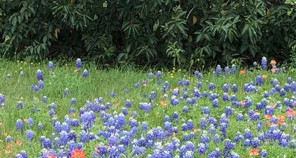 Gander's Down 1 Bedroom Ranch Amazing Cottage