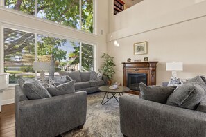 Smart TV, chimenea, reproductor de DVD y libros 