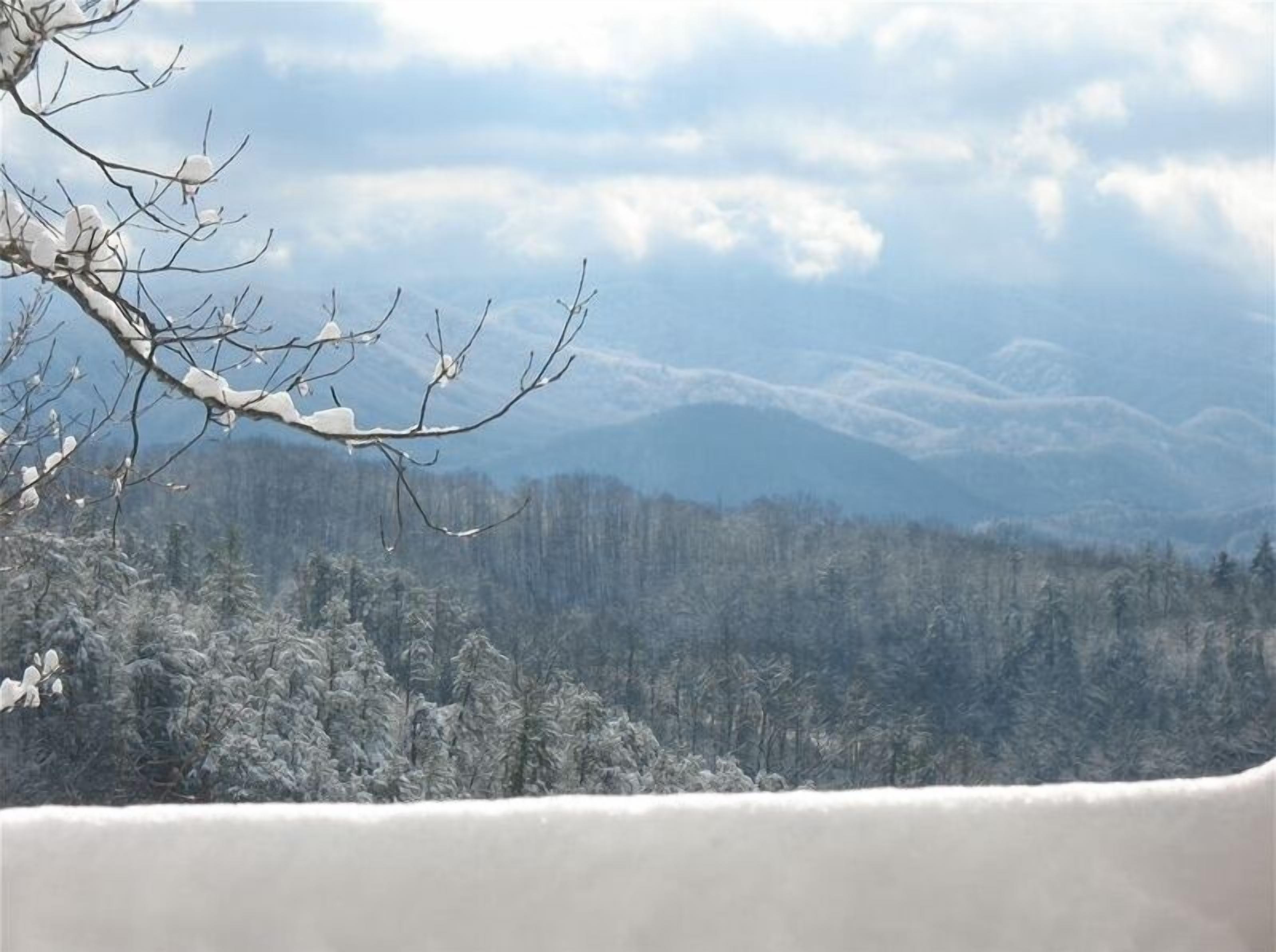 Un paysage enneigé avec une forêt et des montagnes en arrière-plan.