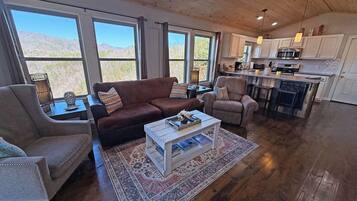 TV, fireplace, DVD player, books