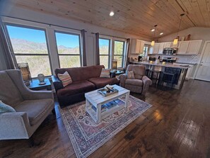 TV, fireplace, DVD player, books