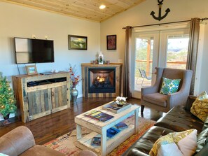TV, fireplace, DVD player, books