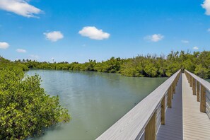 A wooden boardwalk extending over calm water, surrounded by dense greenery.