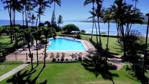 A swimming pool surrounded by palm trees and a view of the ocean.