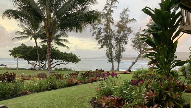 A well-maintained garden with a variety of plants and a view of the ocean.