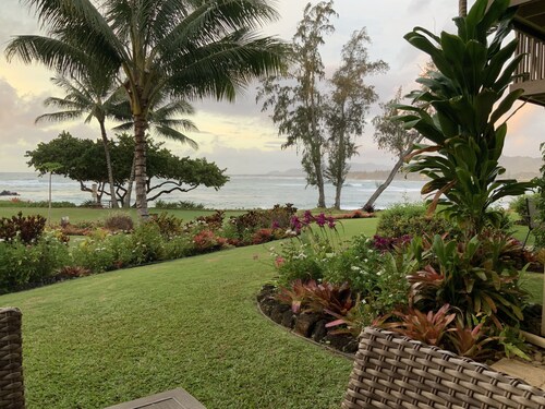 Luxury Oceanfront Condo - Fabulous Ground Floor 3BR/2BA, Sleeps 6 - Lae Nani 511