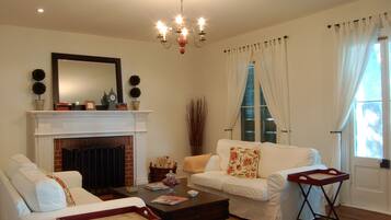 Télévision, cheminée, lecteur de DVD, livres