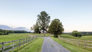 Un chemin de campagne menant à une maison entourée d’une clôture en bois et bordée de champs verdoyants.