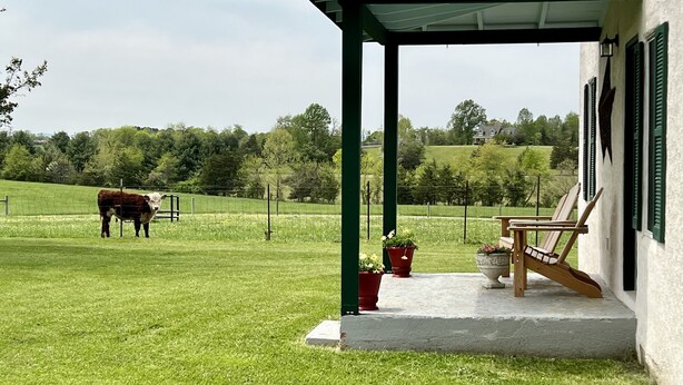 Une véranda couverte avec des sièges d’extérieur, un pré clôturé où se trouve une vache, et une maison en arrière-plan.