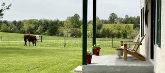 Relax and enjoy a quiet,  country get-away at Lucky Star Farm!