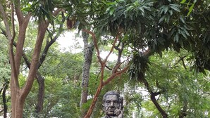 A statue of a seated man in a park. - El Nomada Hotel & Hostel (Asunción)