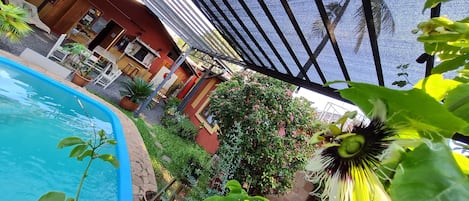 Vue sur le jardin