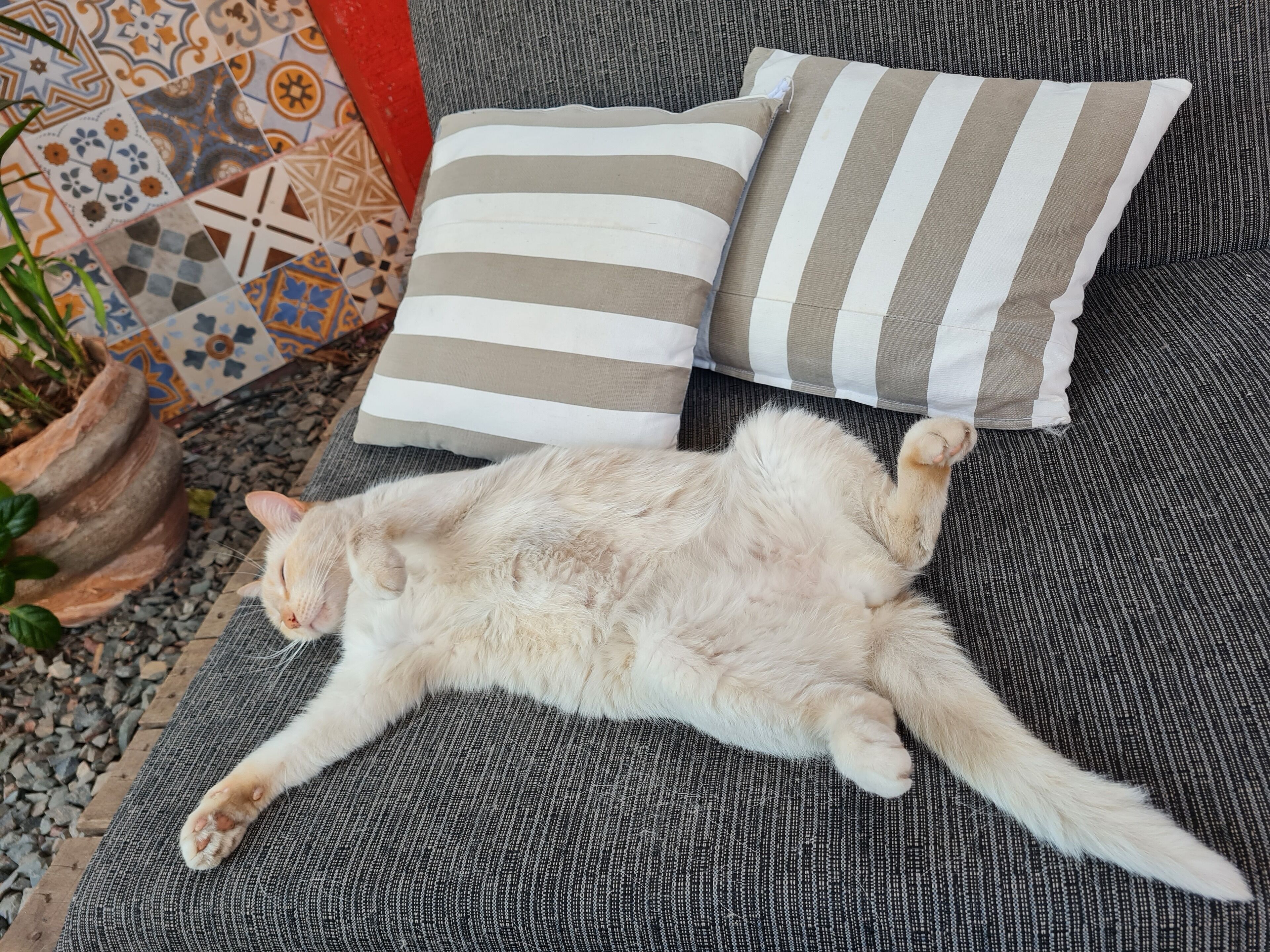 Photo - Nomada Hostel