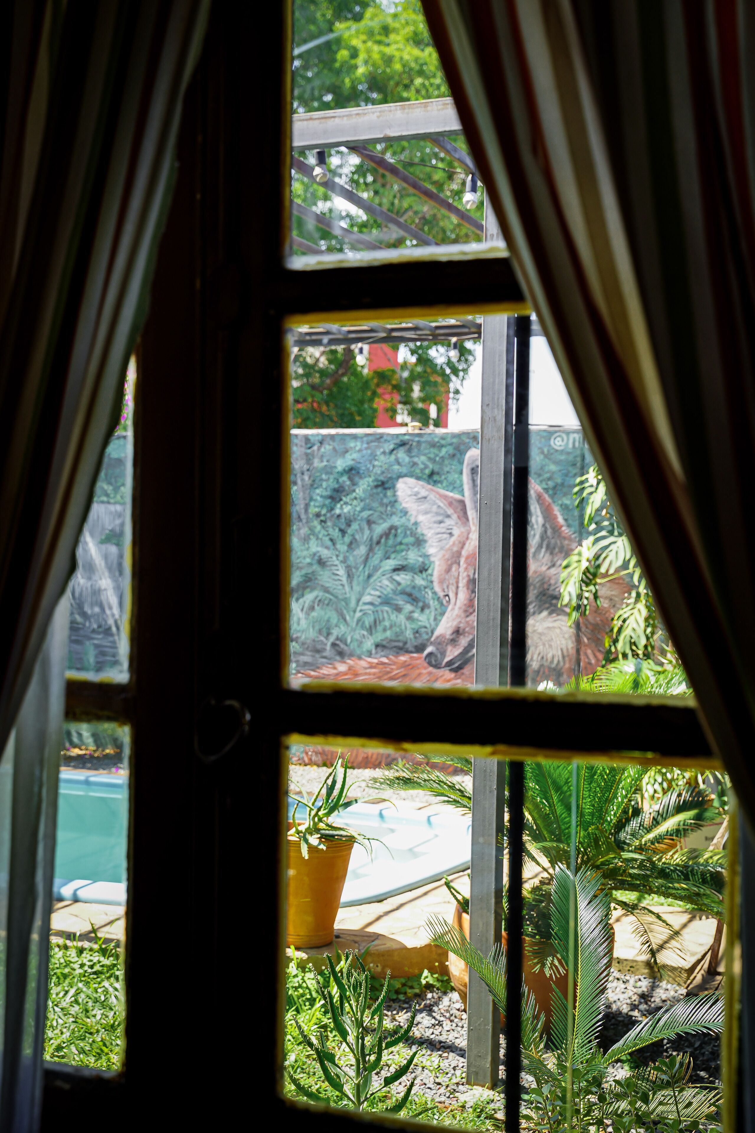 Photo - Nomada Hostel