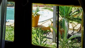 A window with a view of a garden, including a pool and various plants. - El Nomada Hotel & Hostel (Asunción)