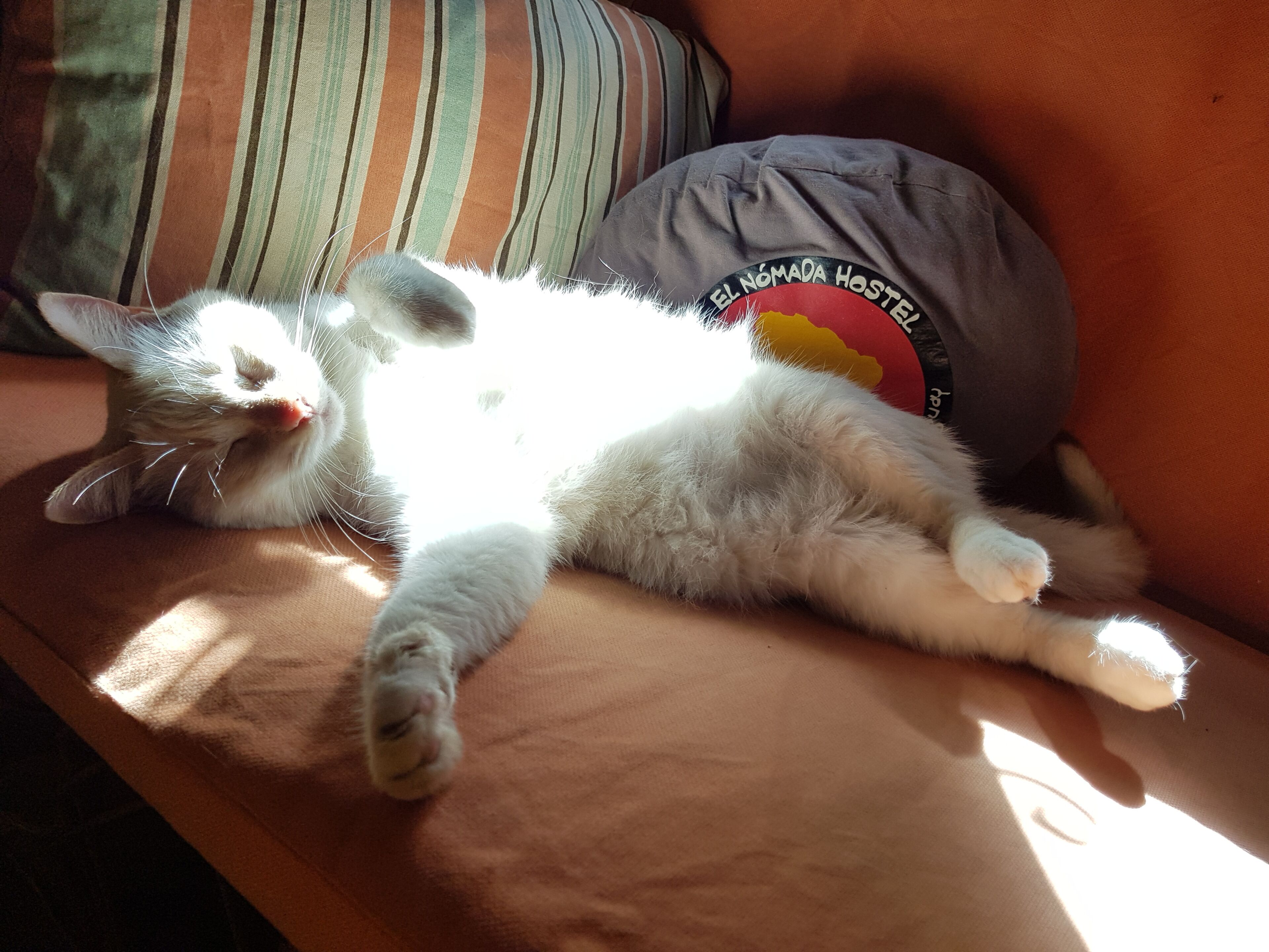 Photo - Nomada Hostel