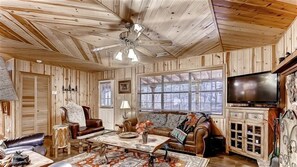 Télévision, cheminée, lecteur de DVD, livres