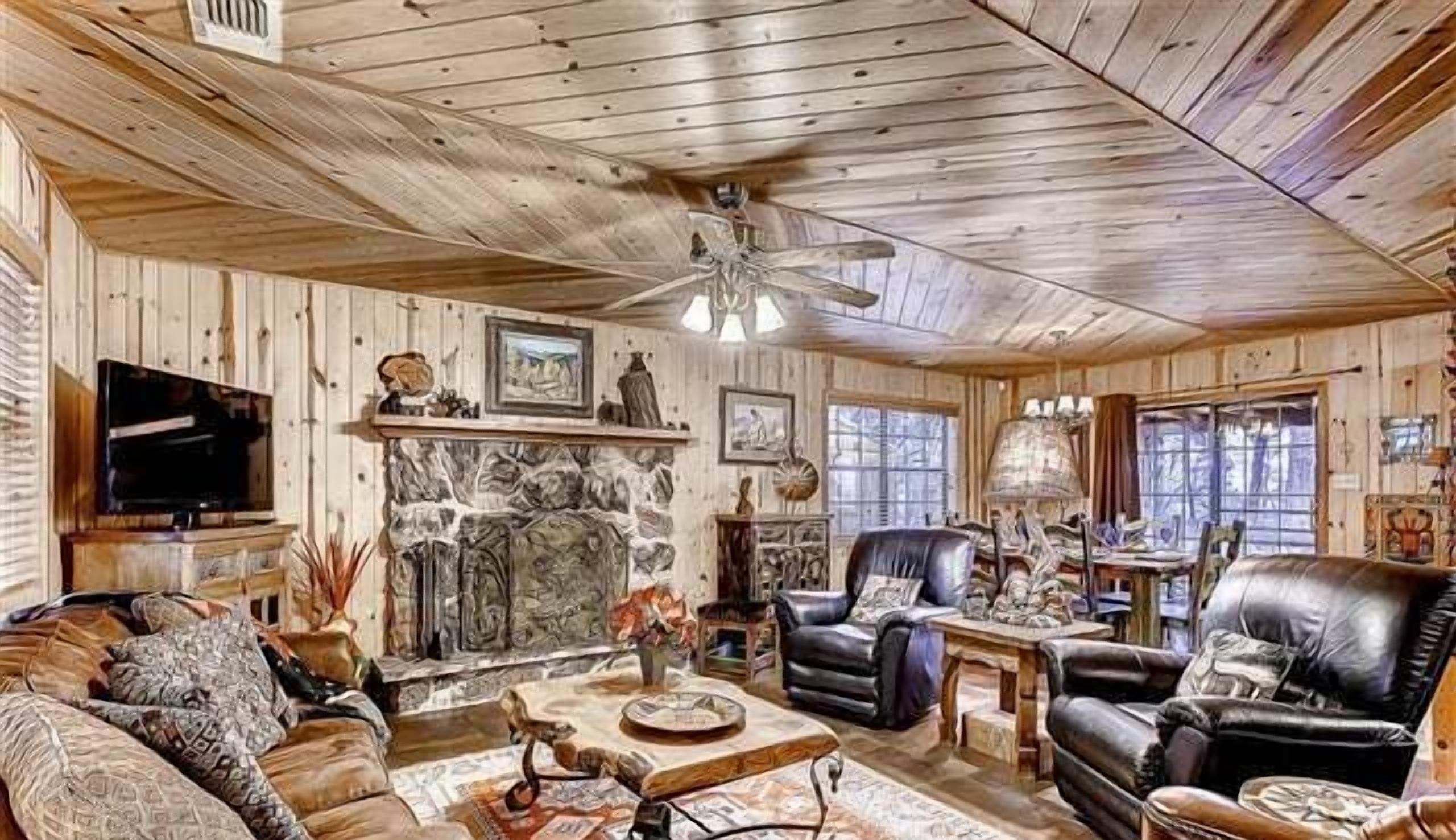 电视、壁炉、DVD 播放器、书