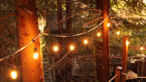 A wooden bridge in a forest with string lights. - Treehouse Place at Deer Ridge Featured top 10 USA (Snohomish)