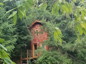 Exterior - Treehouse Place at Deer Ridge Featured top 10 USA (Snohomish)