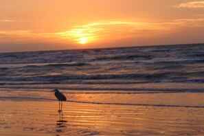 Sun-loungers, beach towels