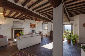 Smart TV, fireplace, DVD player, books