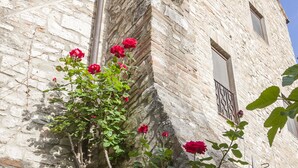 A stone building with a climbing rose plant.