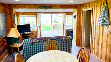 تلفزيون، مشغل دي في دي