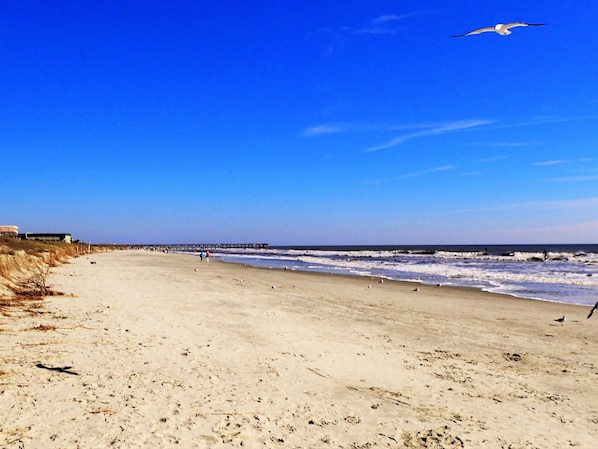Beach nearby, sun-loungers, beach towels