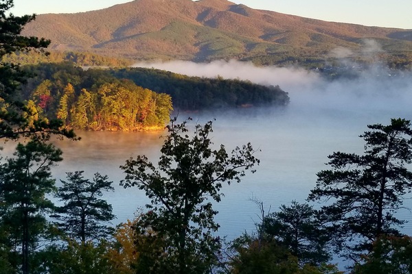 Morning view
