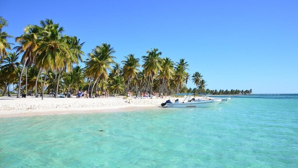 A beach with clear turquoise water, palm trees, and a sandy shore. - Charming Dominicus Bayahibe Apartment 2 bedrooms (Dominicus, Bayahibe)