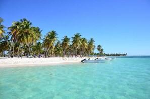 Una playa con agua turquesa cristalina, palmeras y una orilla arenosa.
