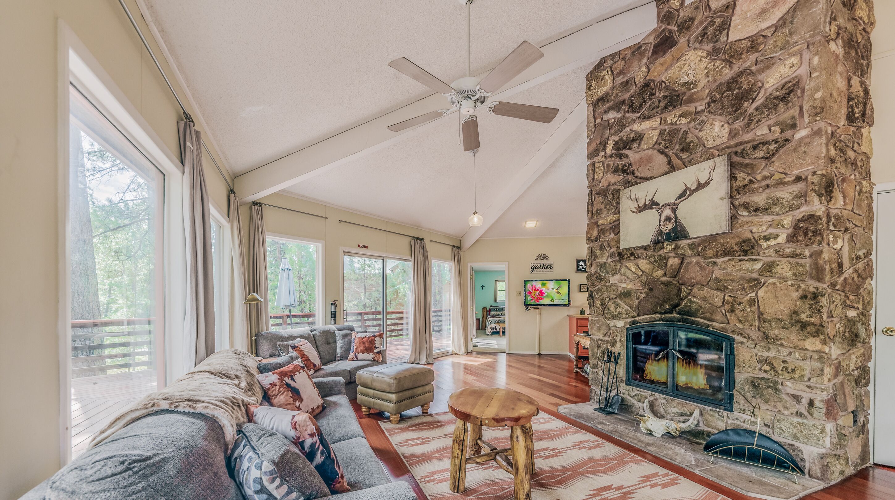 Televisión, reproductor de DVD y libros 