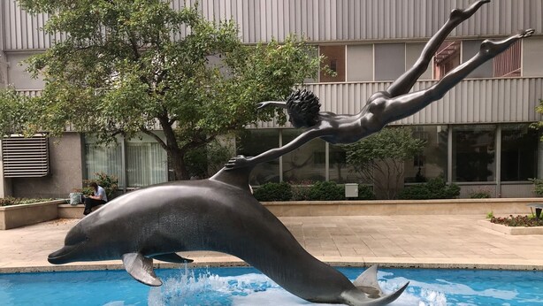 Une sculpture de dauphin dans une piscine, avec une personne qui semble être en train de le chevaucher.