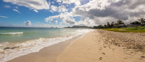 A beach with footprints, a clear sky, and palm trees.