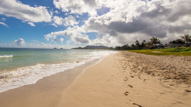A beach with footprints, a clear sky, and palm trees. - Pueohala: Spectacular Kailua Beachfront - updated Beach House (Kailua)