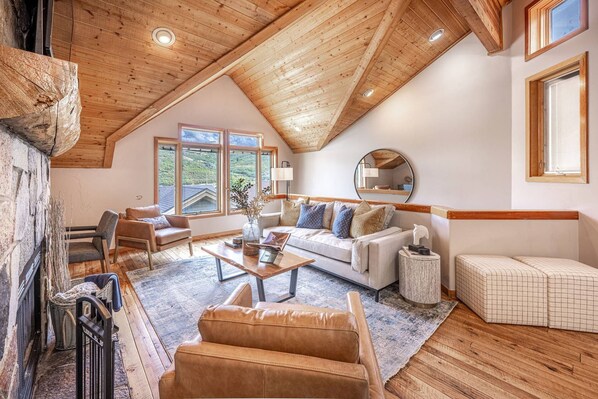 TV, fireplace, video games, DVD player